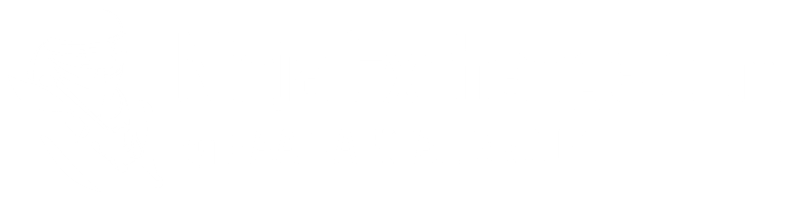 ninjaexchange.com | by PAA CAPITAL GROUP